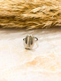 Stainless Steel Ring - Shell